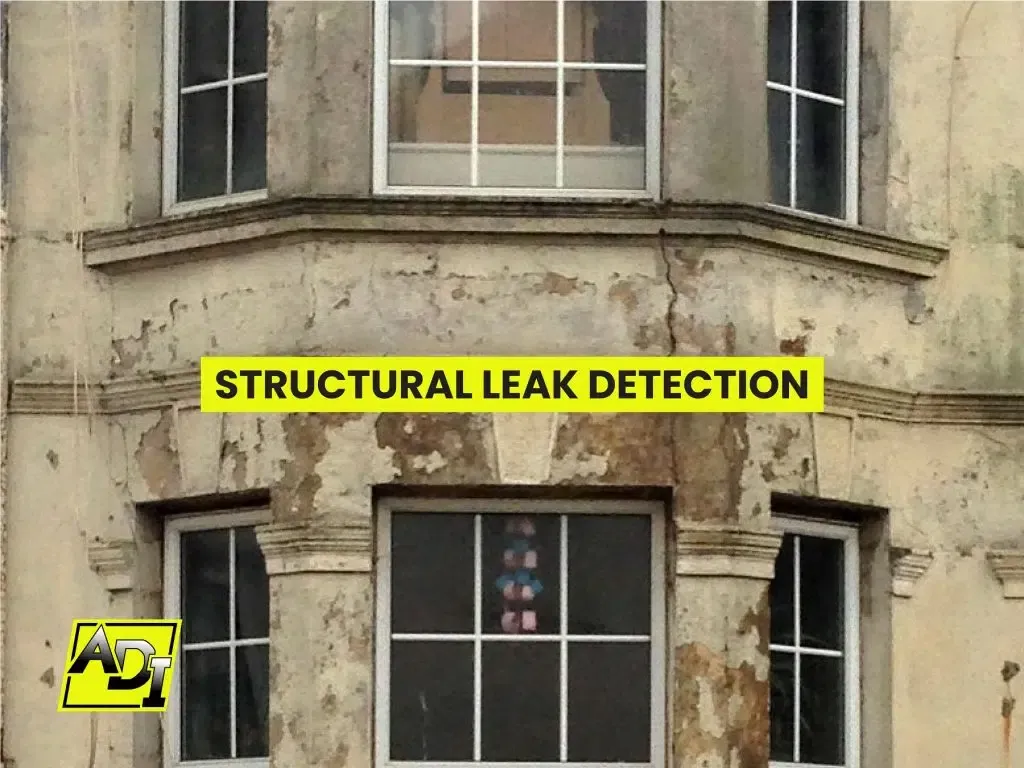 Structural Leak Detection