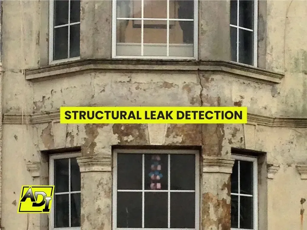 Structural Leak Detection