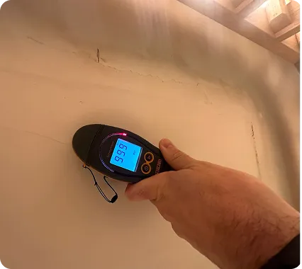 Moisture meter