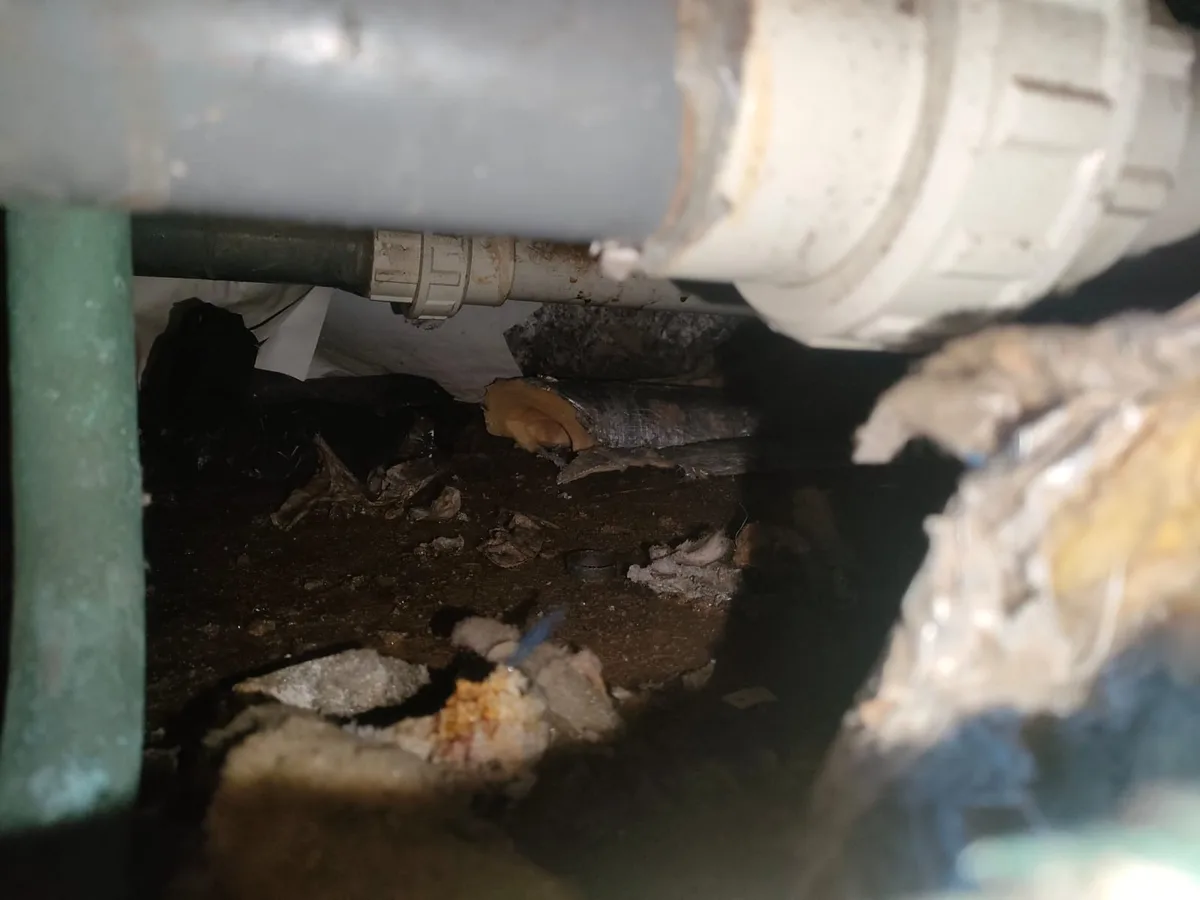 Swimming Pool Leak Detection in Bracknell