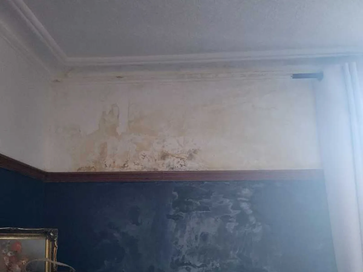 Internal Cold Mains Leak in Stafford