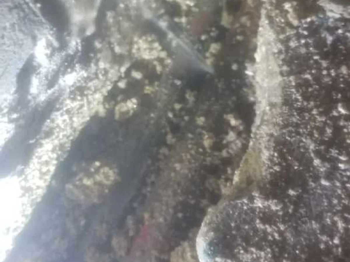 leak located at heavily corroded copper heating pipe exposed within concrete floor