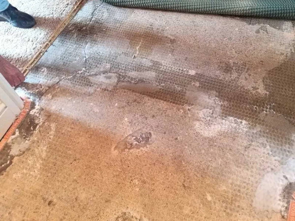 hallway carpet lifted to reveal damp concrete floor during leak detection
