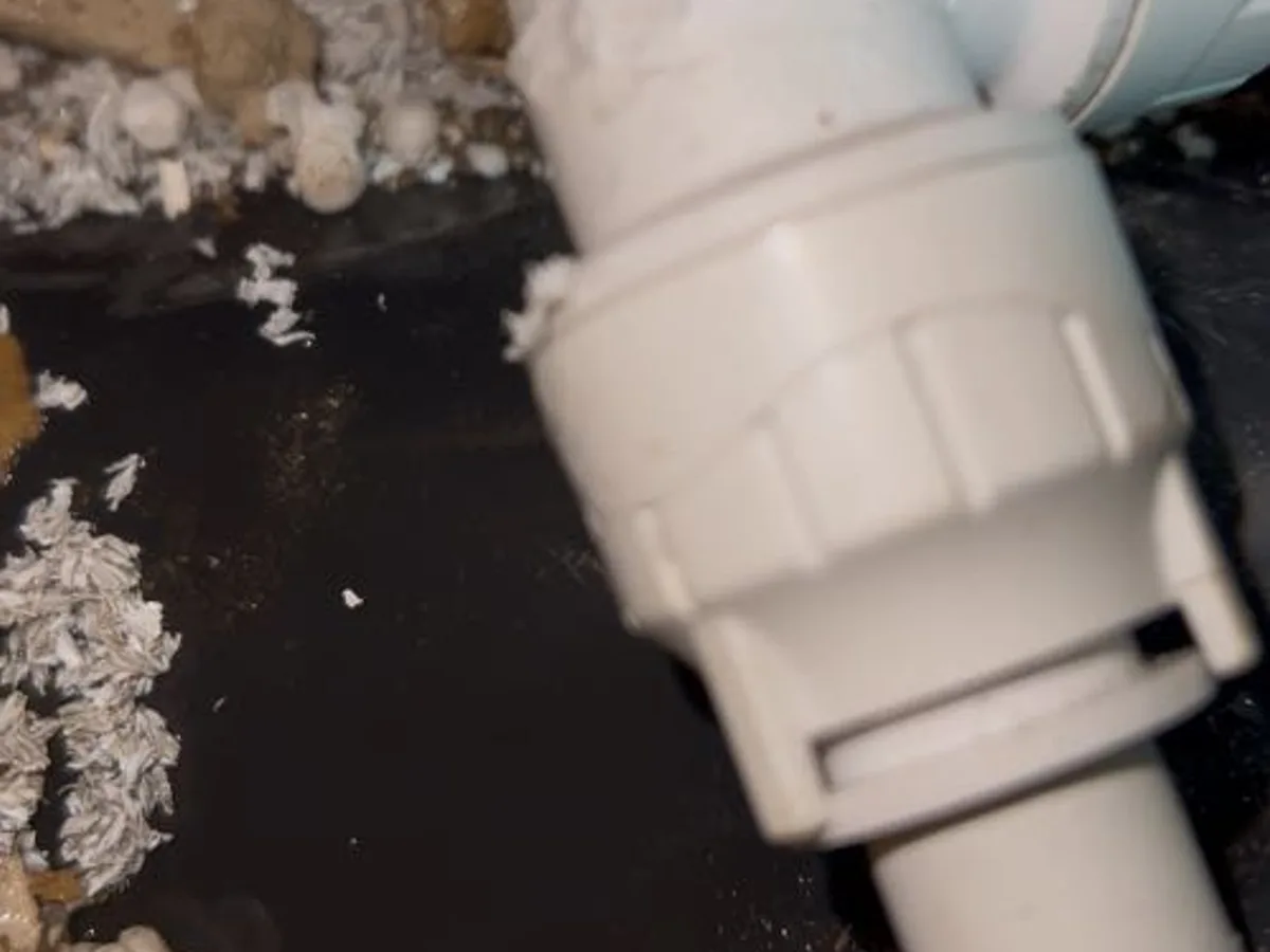 leak located at pipe fitting chewed by rodents beneath bedroom floor void