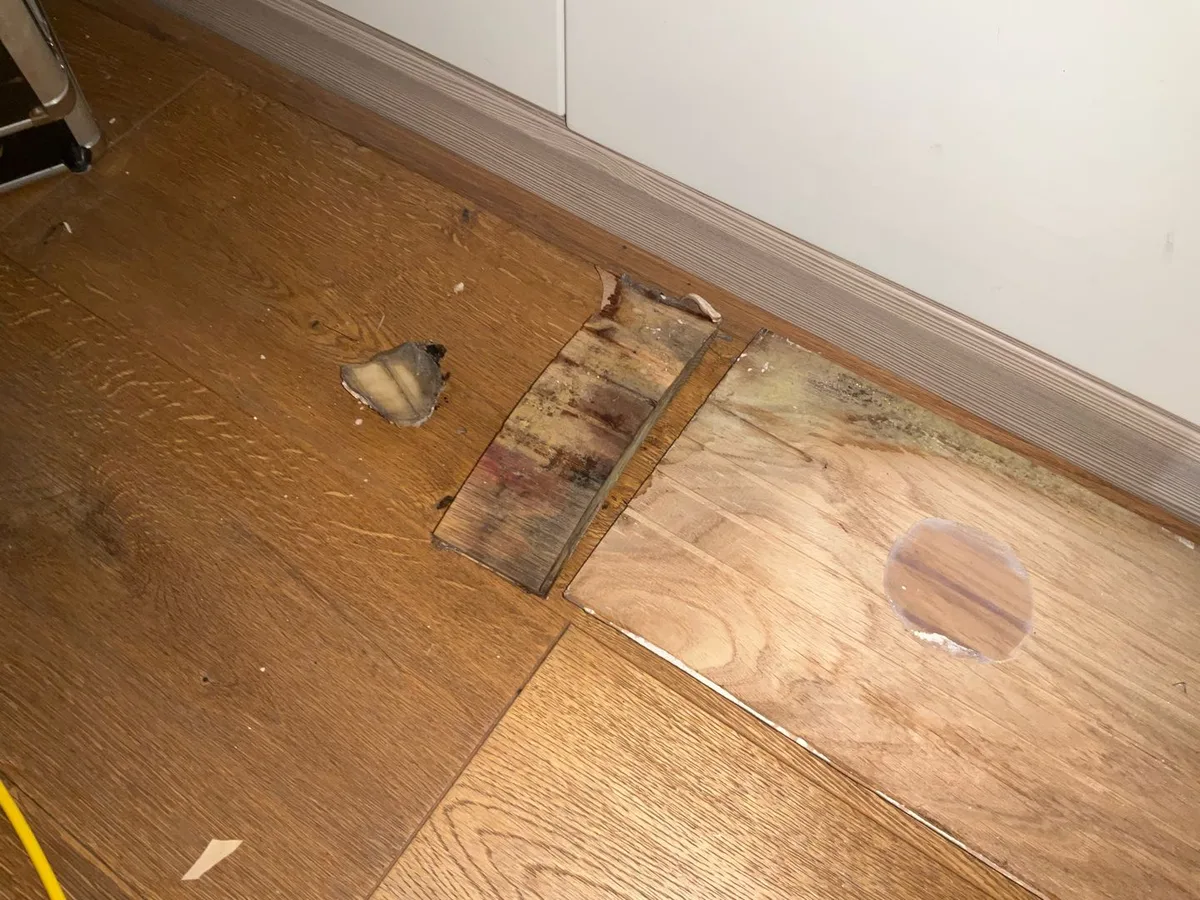 leak located beneath engineered wood flooring with screed damage at hallway door threshold — leak located at