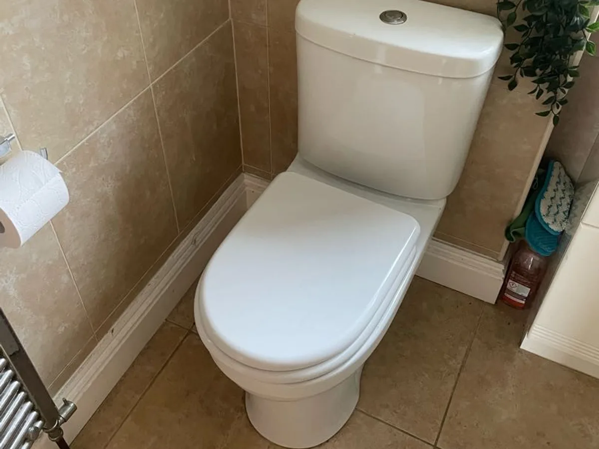 bathroom toilet in situ over tiled floor before leak detection works commenced