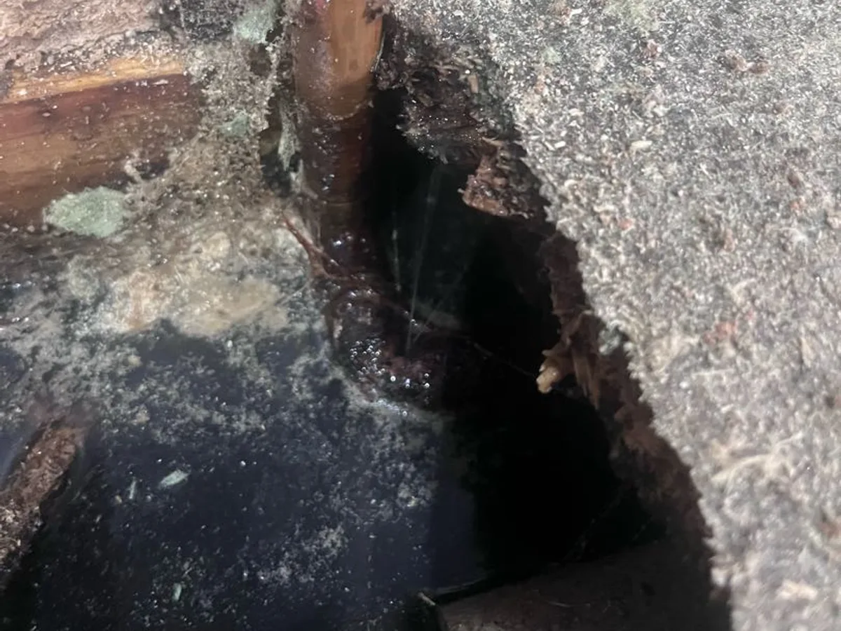 leak located at flooded subfloor channel beneath lifted floorboards with saturated ground visible