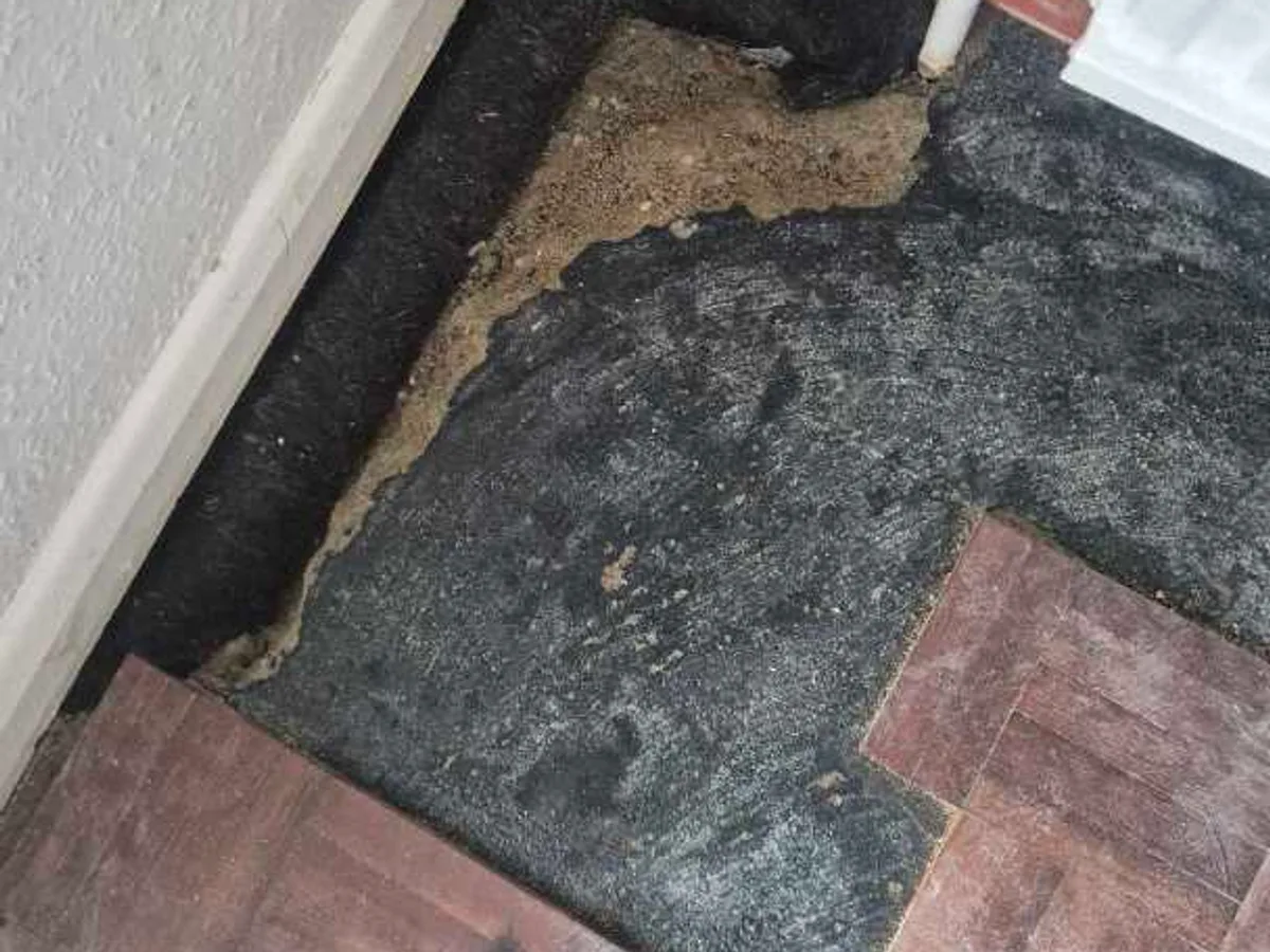 leak located beneath dining room carpet and screed under radiator pipework — leak located at