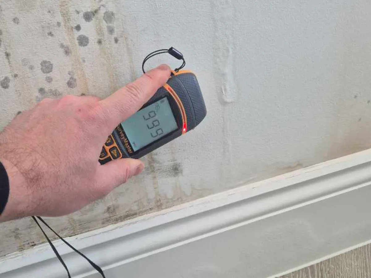 moisture meter held against mould-affected wall during leak detection investigation