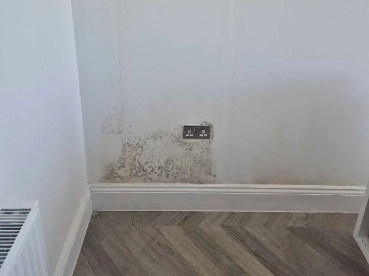 mould and damp staining on wall of Apartment 5 before leak detection works started