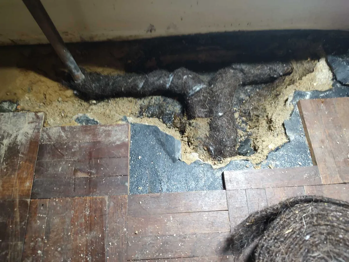 fault identified at saturated subfloor void beneath living room parquet flooring after excavation — leak located at