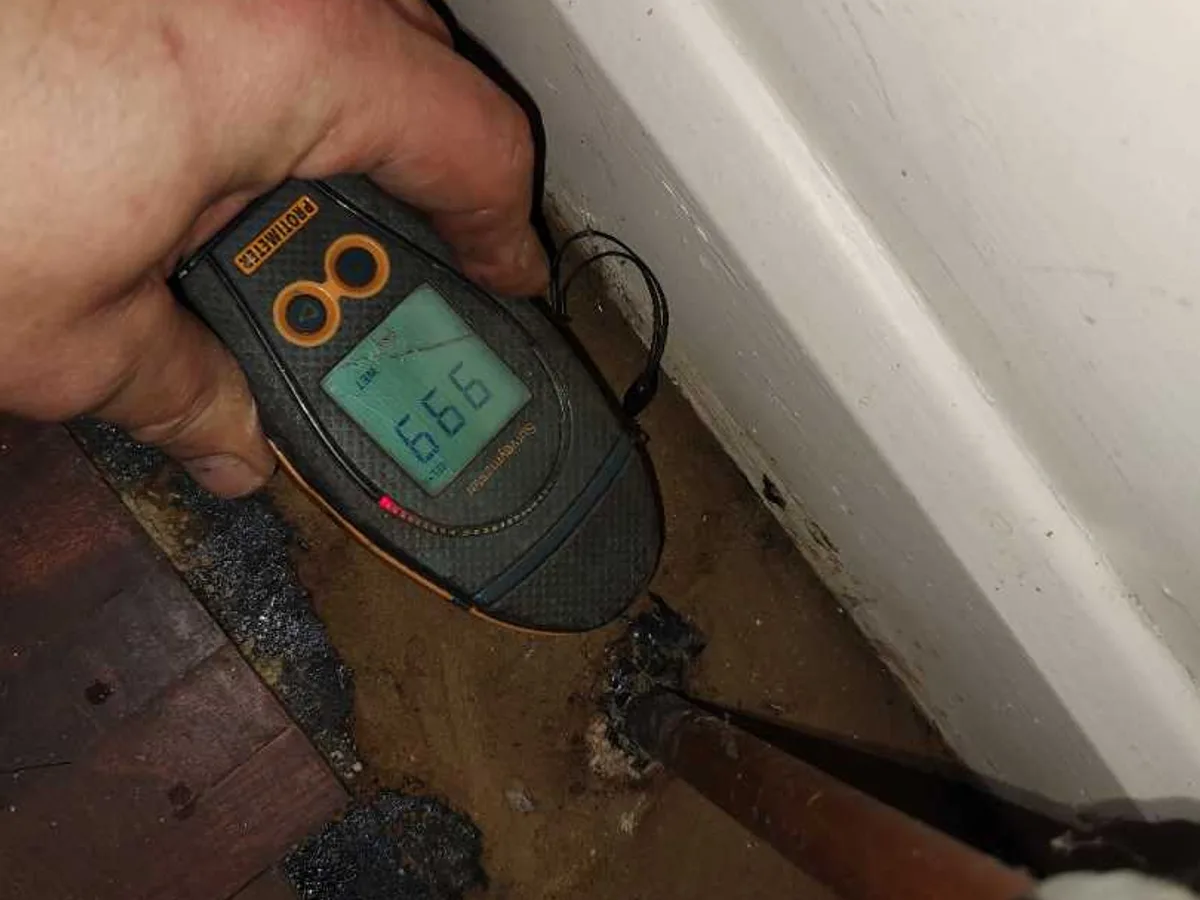 moisture meter displaying high damp reading on living room floor near skirting during leak detection