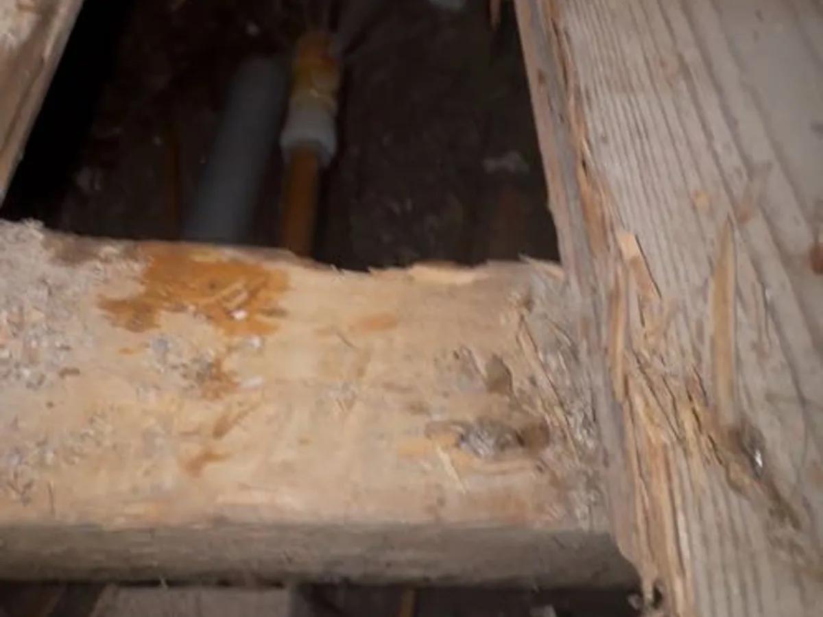 leak exposed at underfloor pipework visible through lifted floorboards with wet soil below — leak located at
