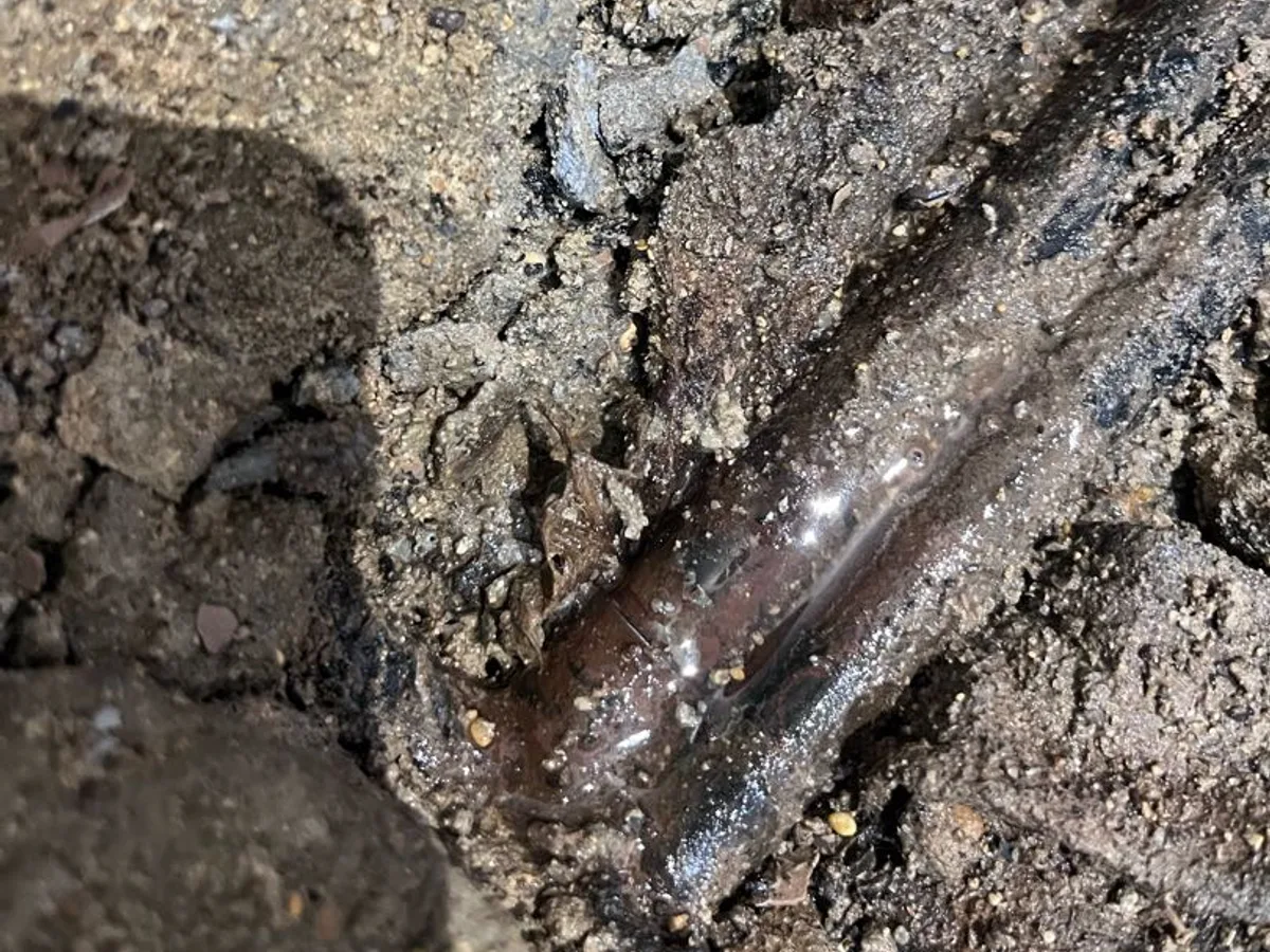 leak located at 15mm heating pipe exposed in saturated ground beneath hallway floor