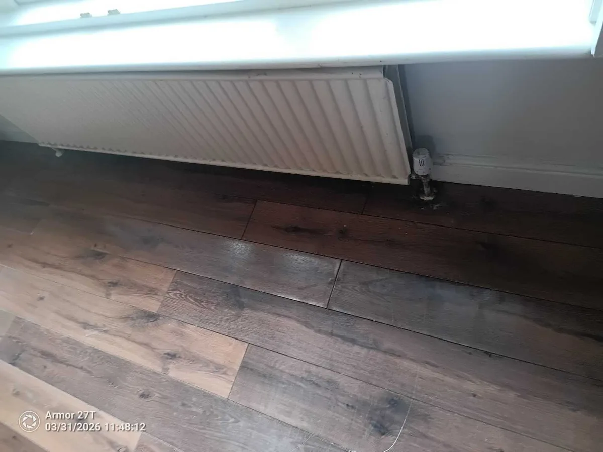 Central Heating Leak in Weston-super-Mare
