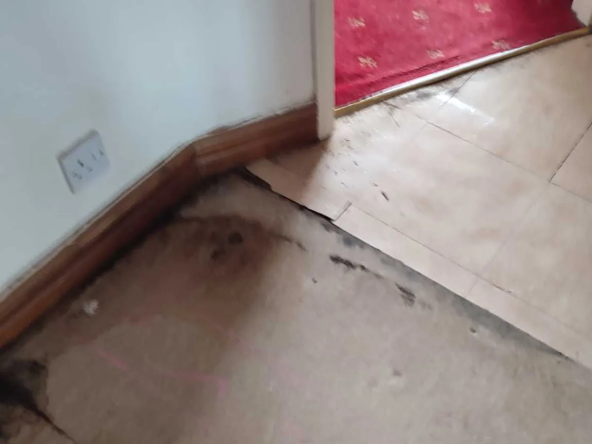 buckled and mould-stained kitchen floor covering before leak detection works started