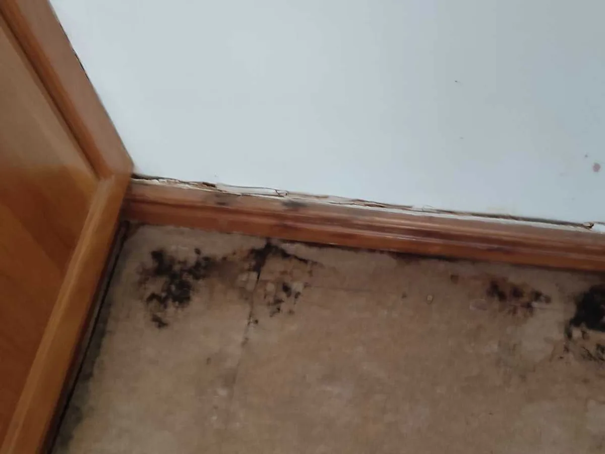 Hot Water System Leak in Hythe