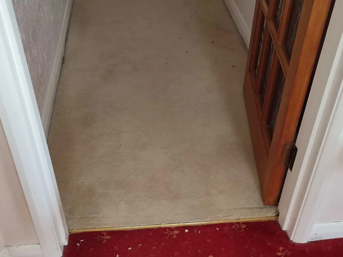 saturated hall carpet showing water damage at initial inspection before works started