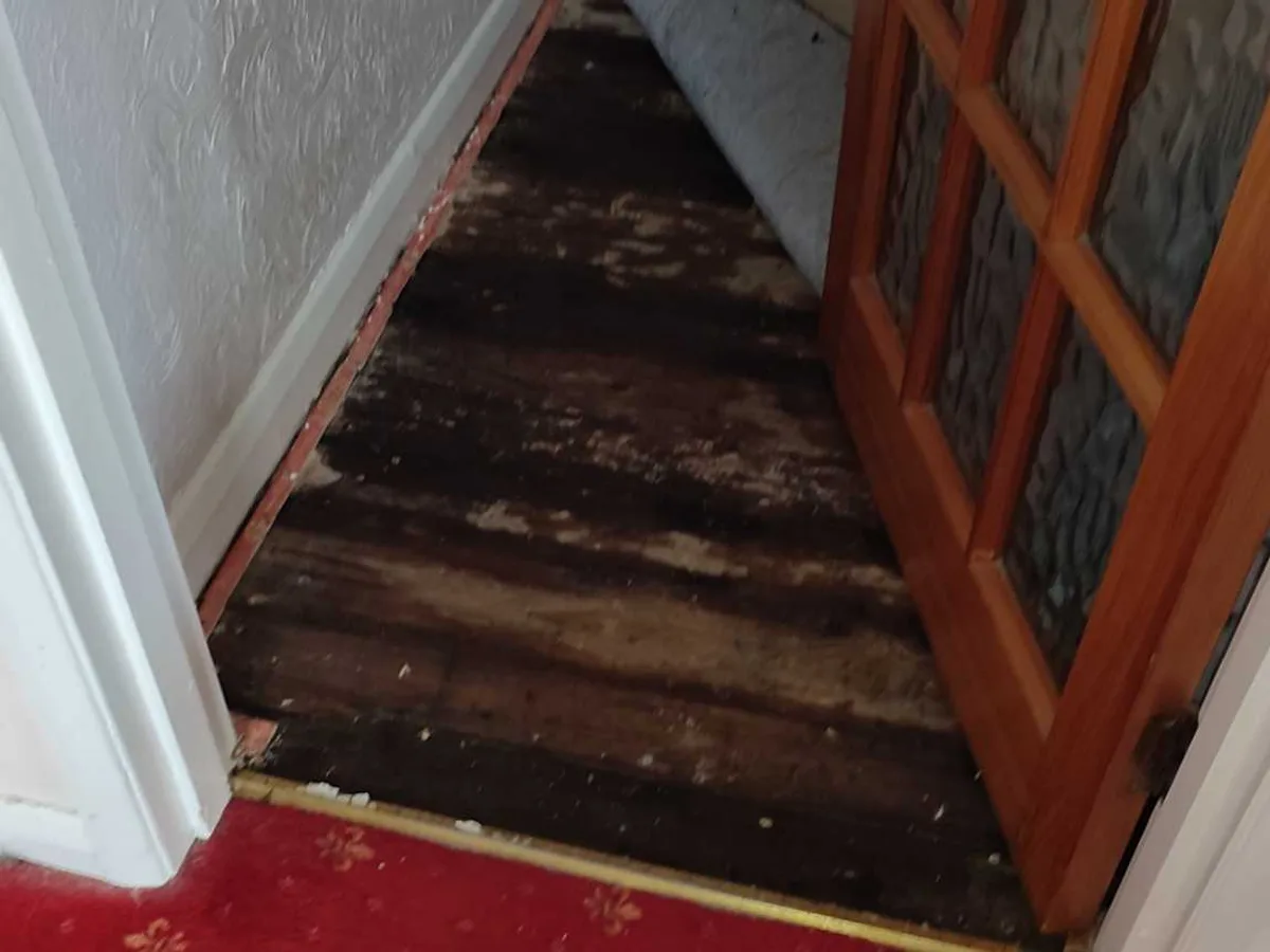 leak found beneath hall carpet with saturated and blackened timber joists exposed — leak located at