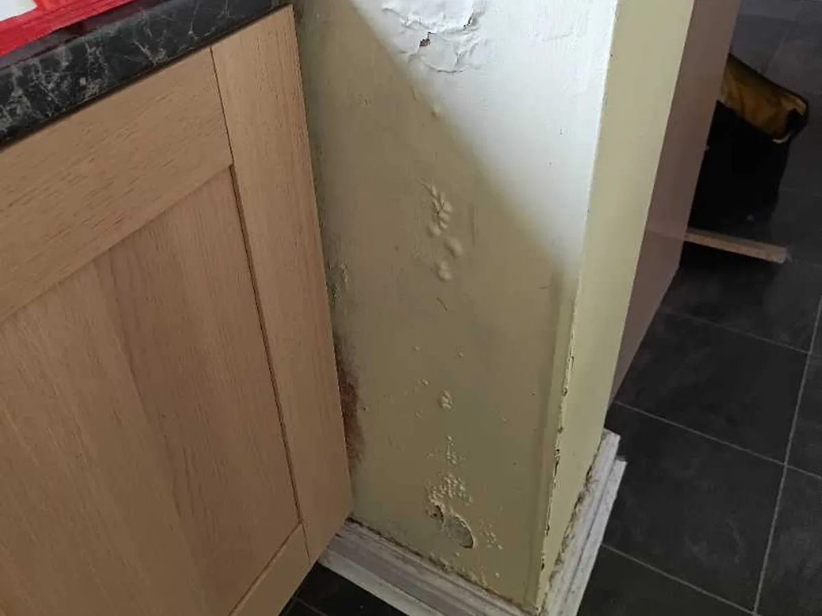Hot Water System Leak in Hythe