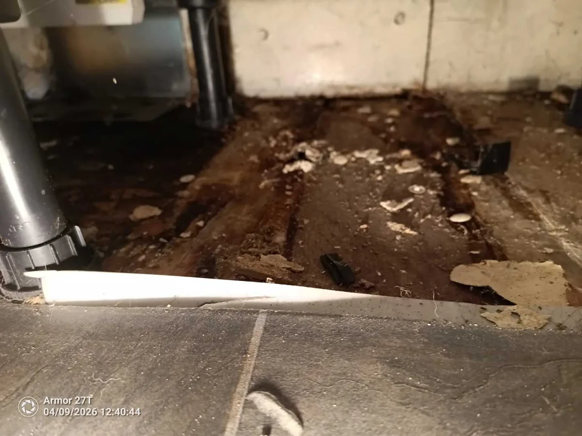 saturated subfloor beneath kitchen units exposed during leak detection investigation