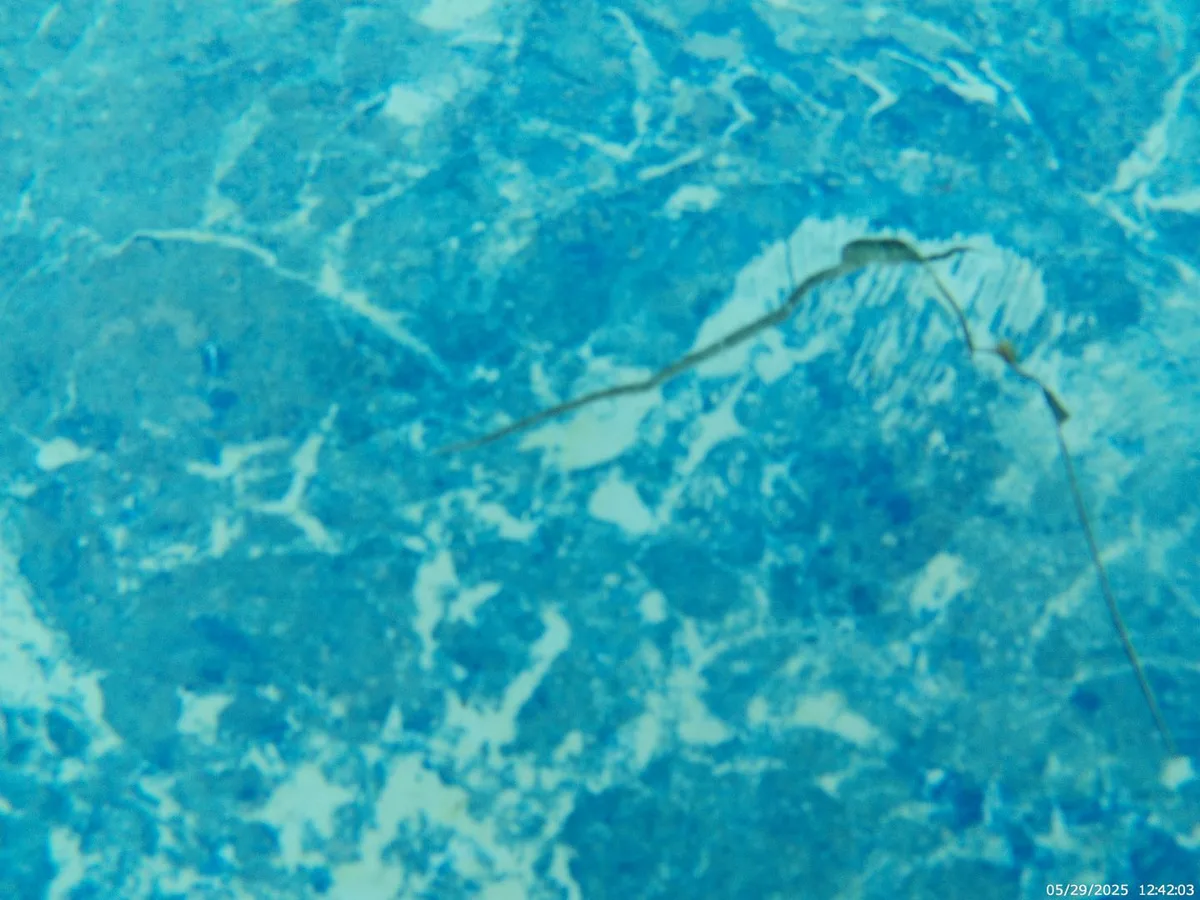 leak located at L-shaped tear in pool liner on deep-end floor
