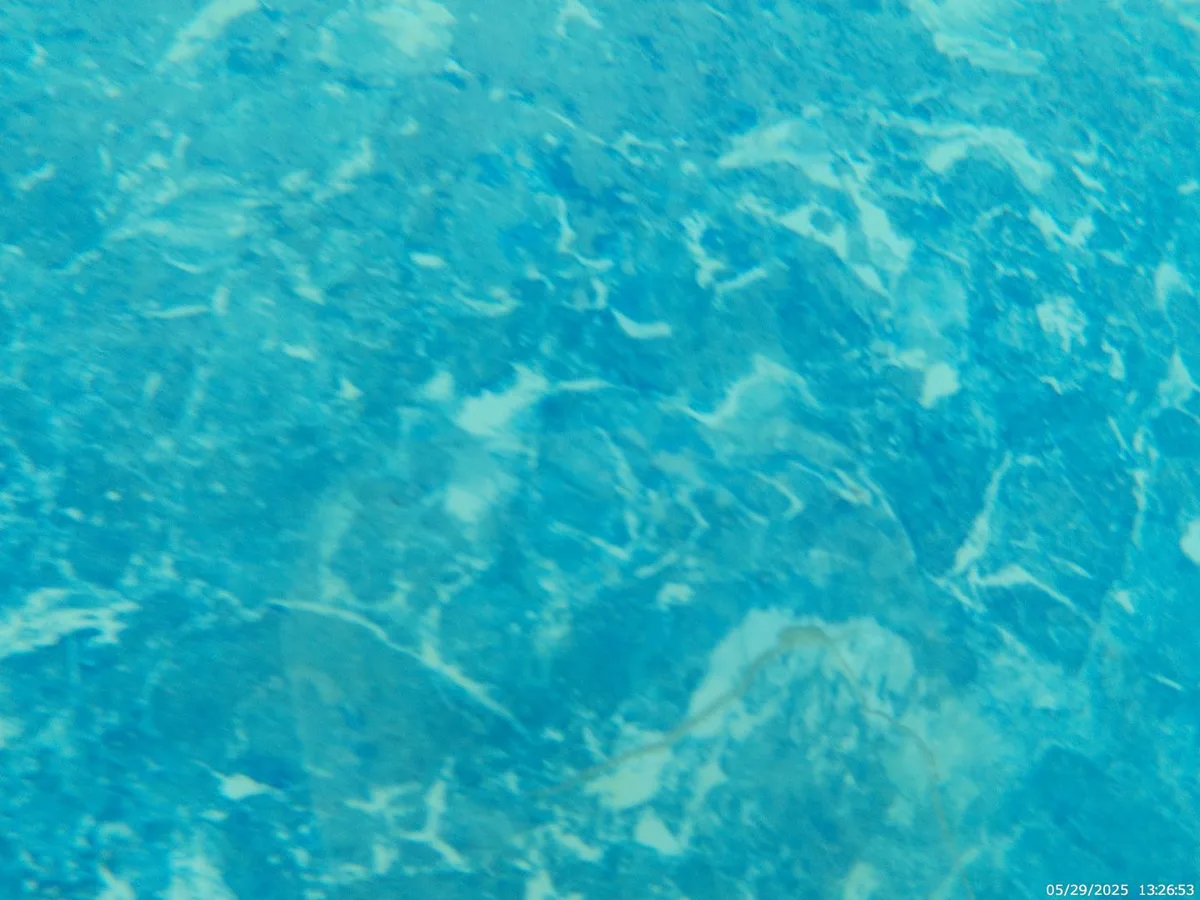 vinyl patch repair completed over L-shaped liner tear on pool floor