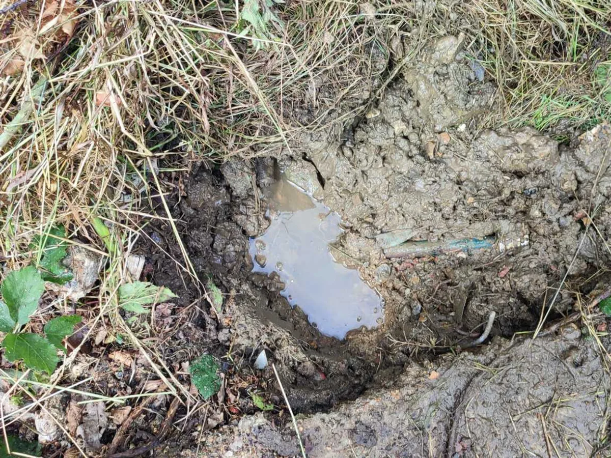 leak located at waterlogged excavation on overgrown disused site ground