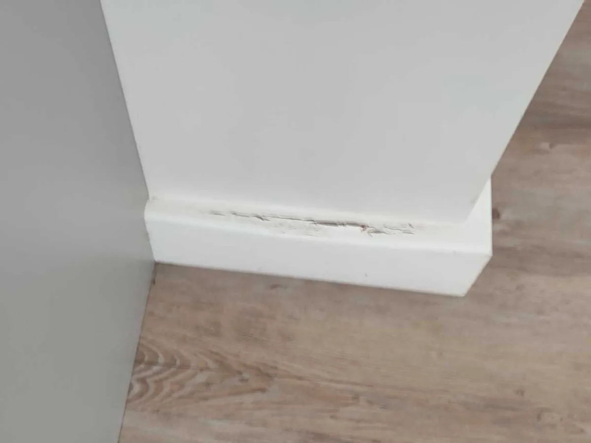 Internal Cold Mains Leak in Aylesbury