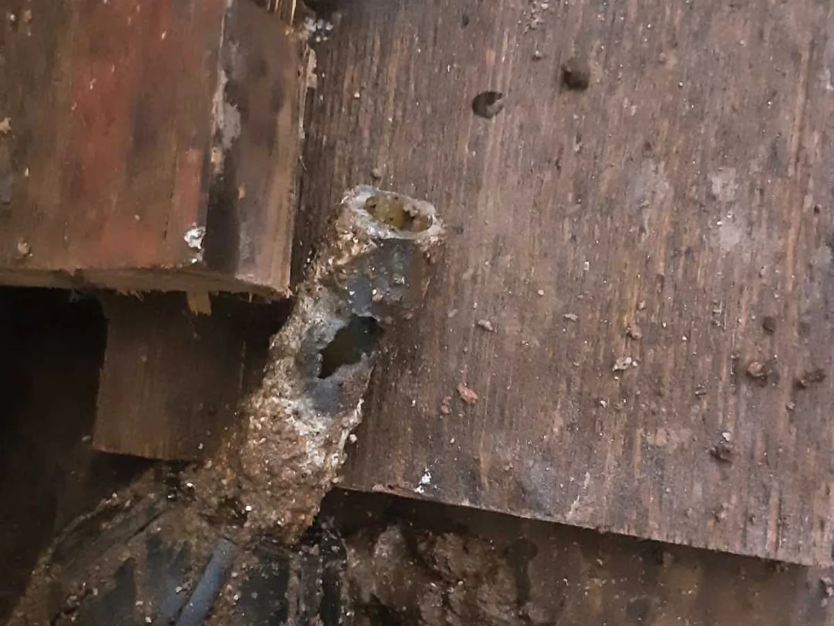 fault exposed at corroded half-inch lead cold mains pipe with hole blown out beneath hallway floorboards