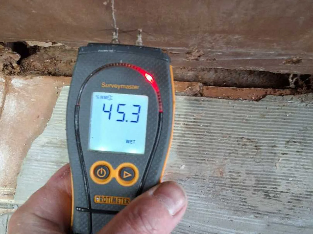 moisture meter reading 45.3 percent WME at wet kitchen wall during leak detection