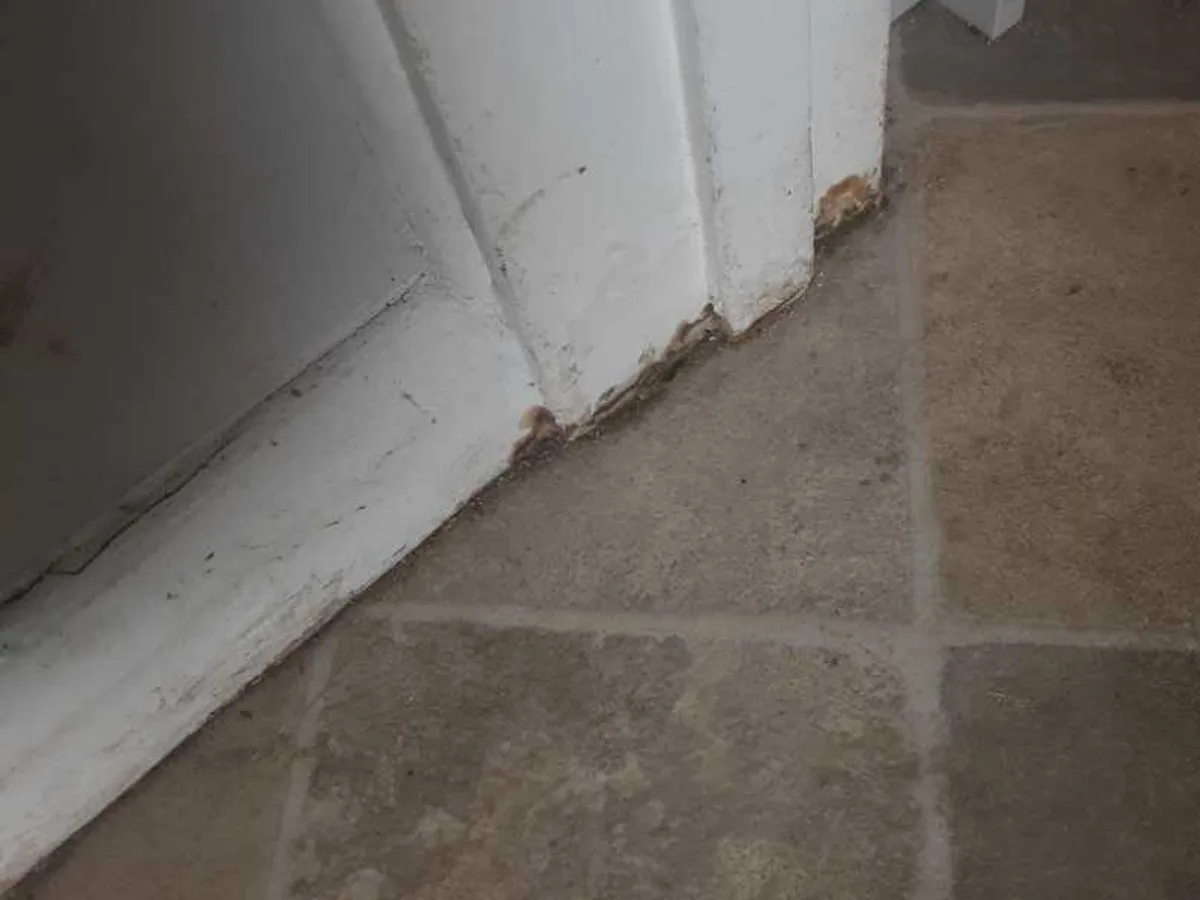 water-damaged skirting board at base of door frame before leak detection works