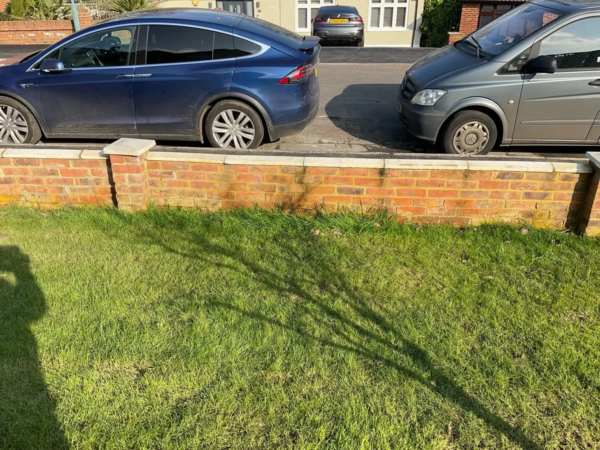 front lawn adjacent to property boundary wall before leak detection works started