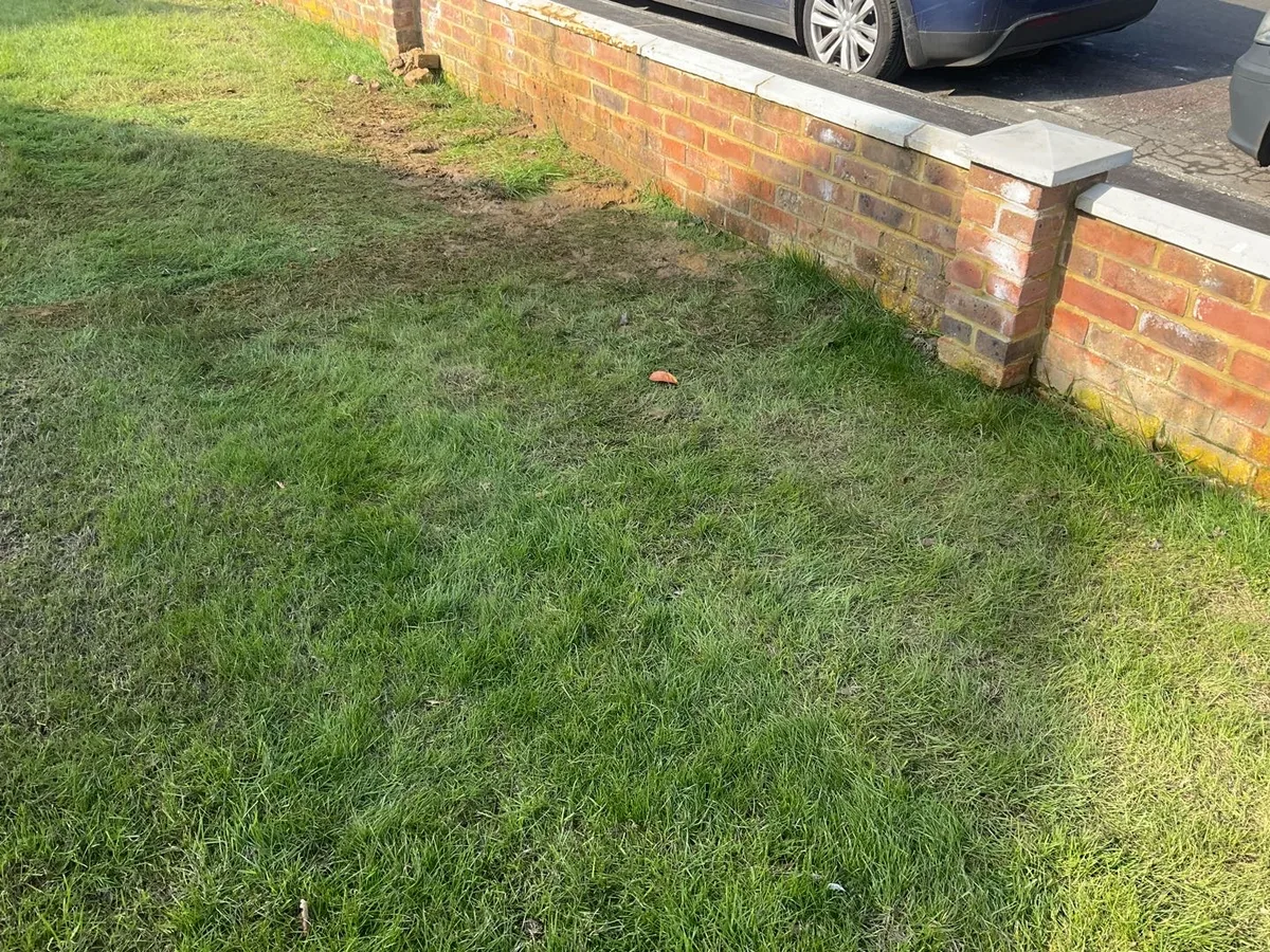 front lawn and boundary wall area reinstated after underground mains pipe repair