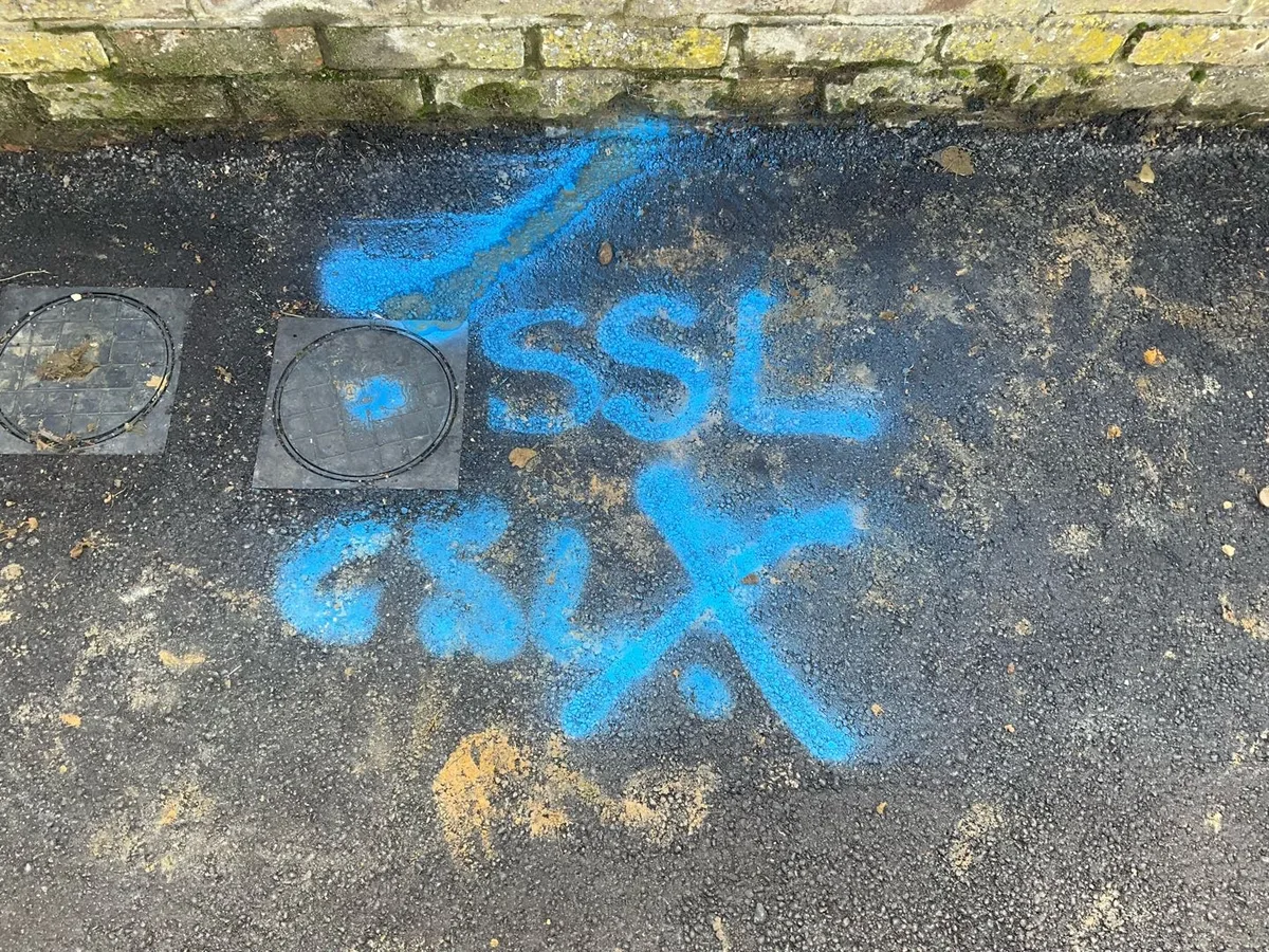 blue spray-paint markings on pavement at water meter during leak detection survey