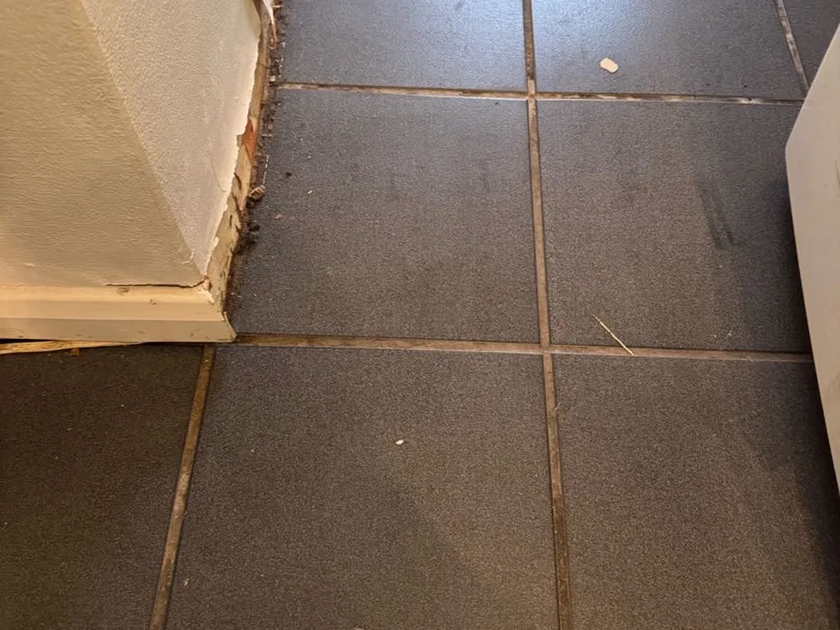 leak located at damaged skirting and floor tiles showing water ingress in kitchen