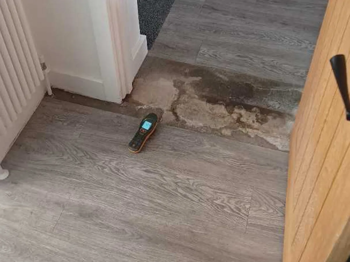Internal Cold Mains Leak in Bradwell