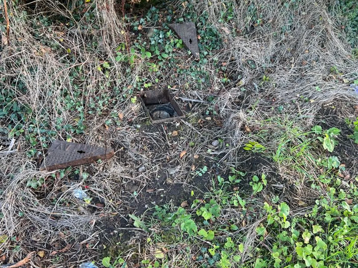 overgrown stopcock chamber with rusted cover exposed during leak detection survey