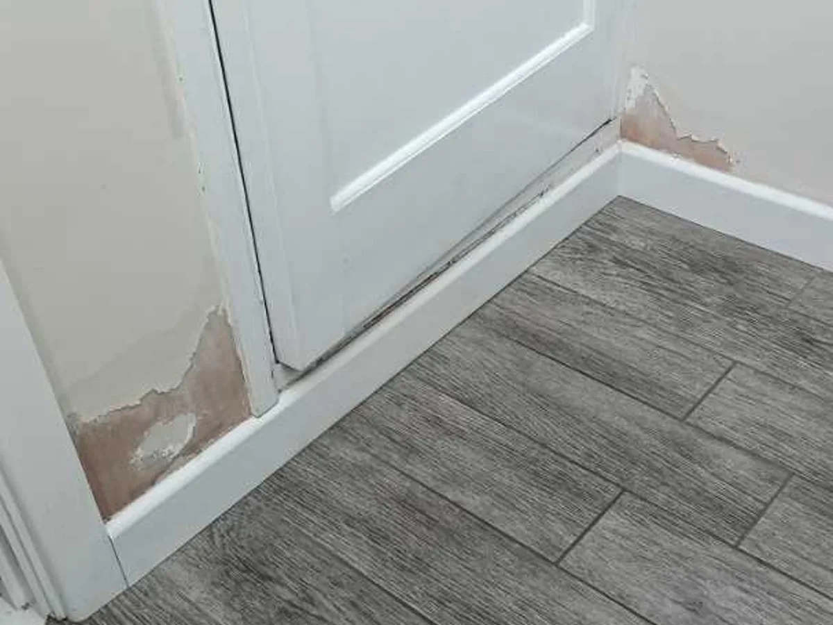 Internal Cold Mains Leak in Cosham