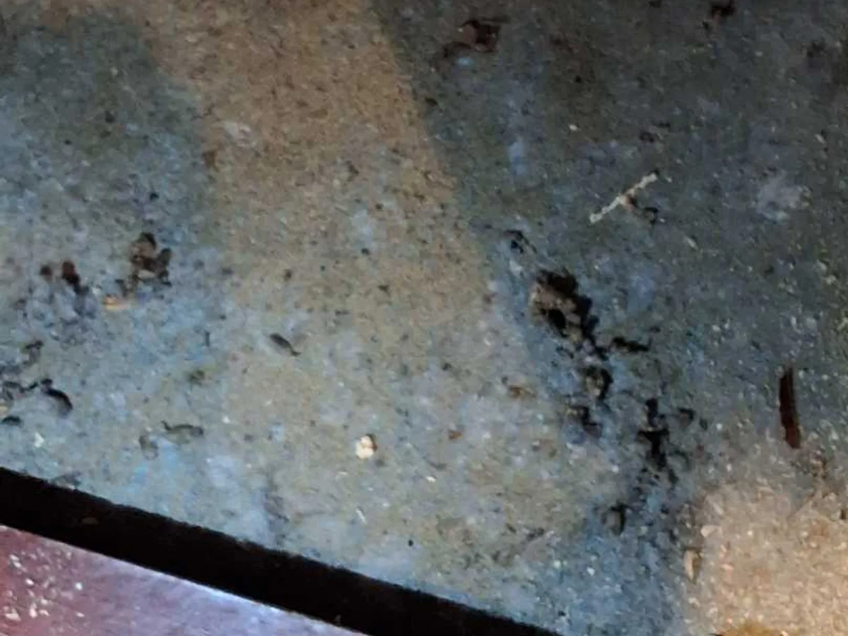 wet and stained concrete floor in external utility room before works started