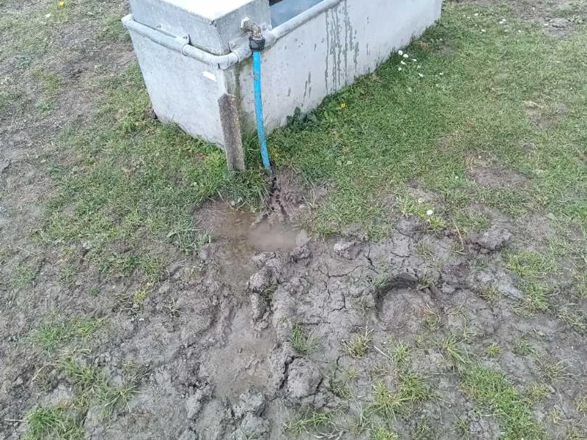 leaking water trough fitting with waterlogged ground before leak detection works