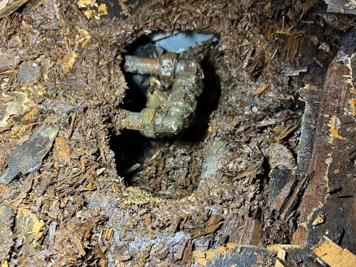 leak exposed at heavily corroded stopcock and capped pipework in rotted subfloor void — leak located at