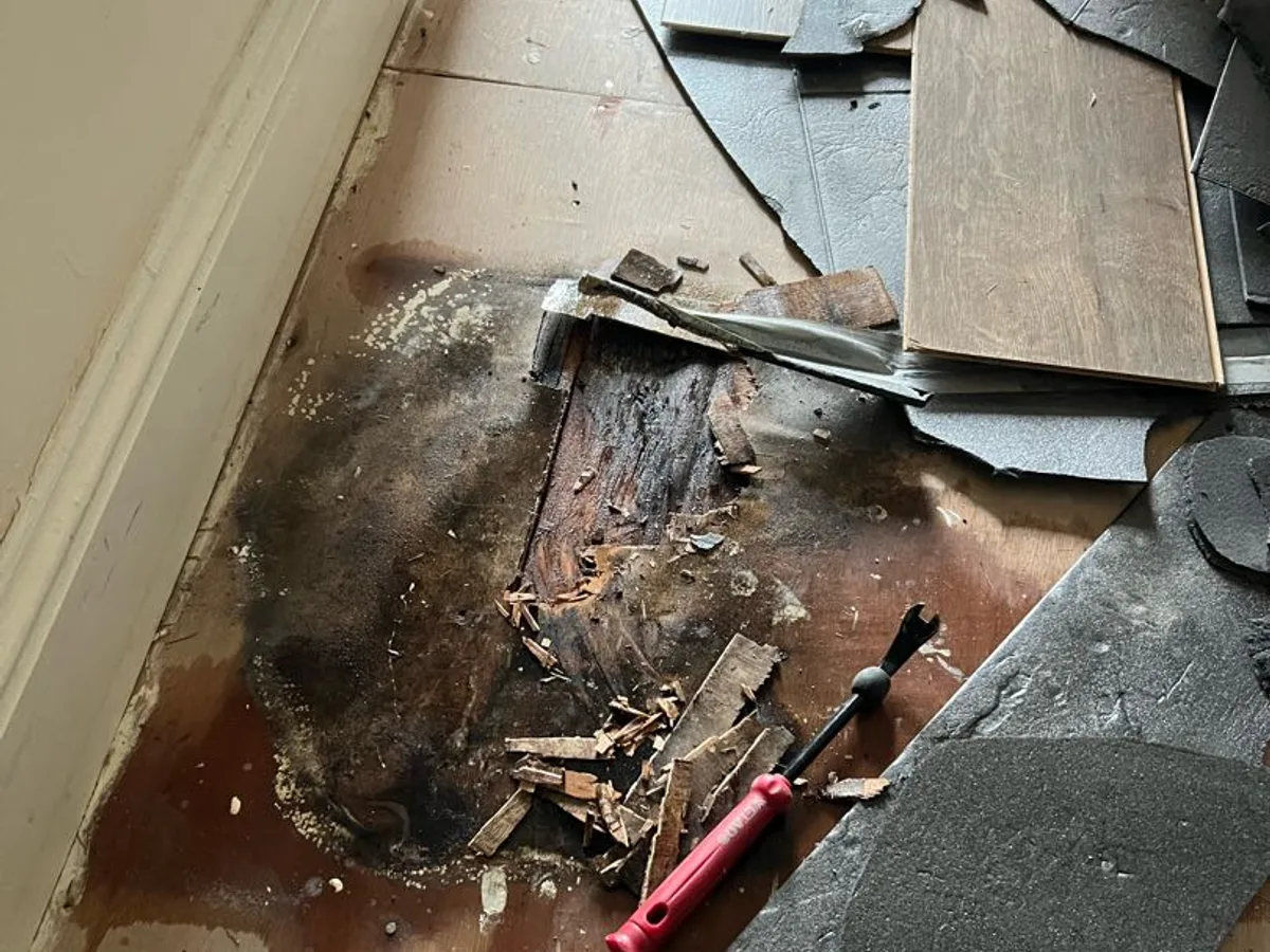 water-damaged and rotted hallway floorboard lifted to reveal leak found beneath floor — leak located at