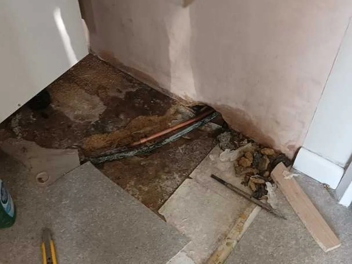 fault exposed at corridor concrete floor showing second leaking copper pipe run beneath kitchen unit base