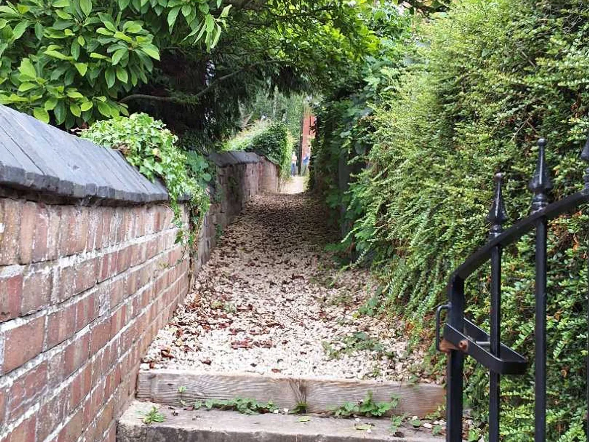 overgrown garden path and steps showing external mains route during leak detection survey