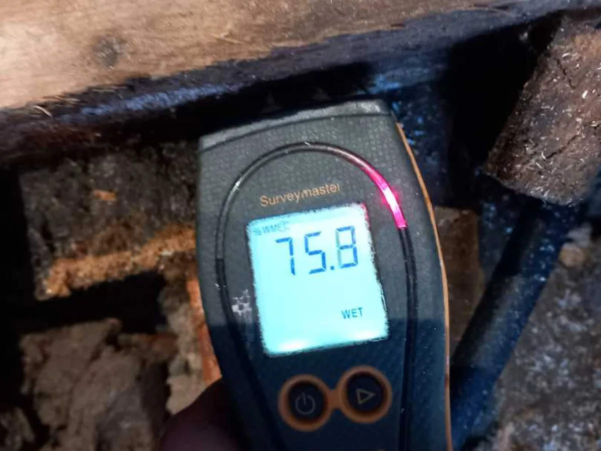 moisture meter displaying 75.8 WET reading on saturated timber joist during leak detection