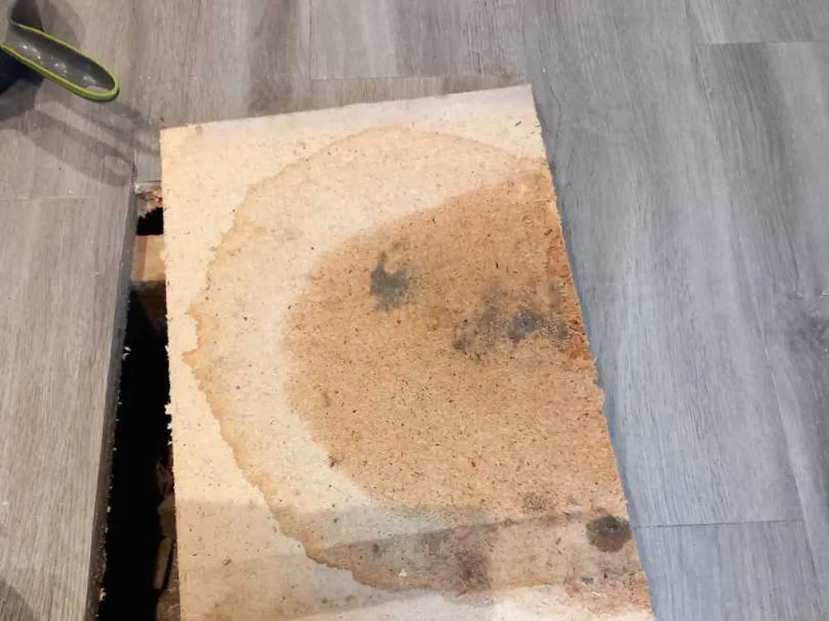 leak located at water-stained timber floorboard lifted from kitchen floor