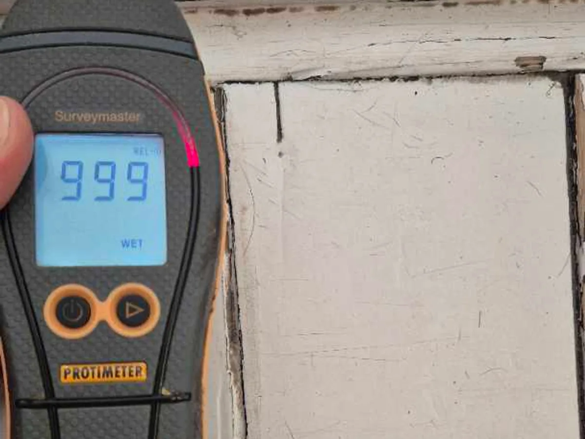 moisture meter displaying maximum 999 WME reading on floor timber during leak detection