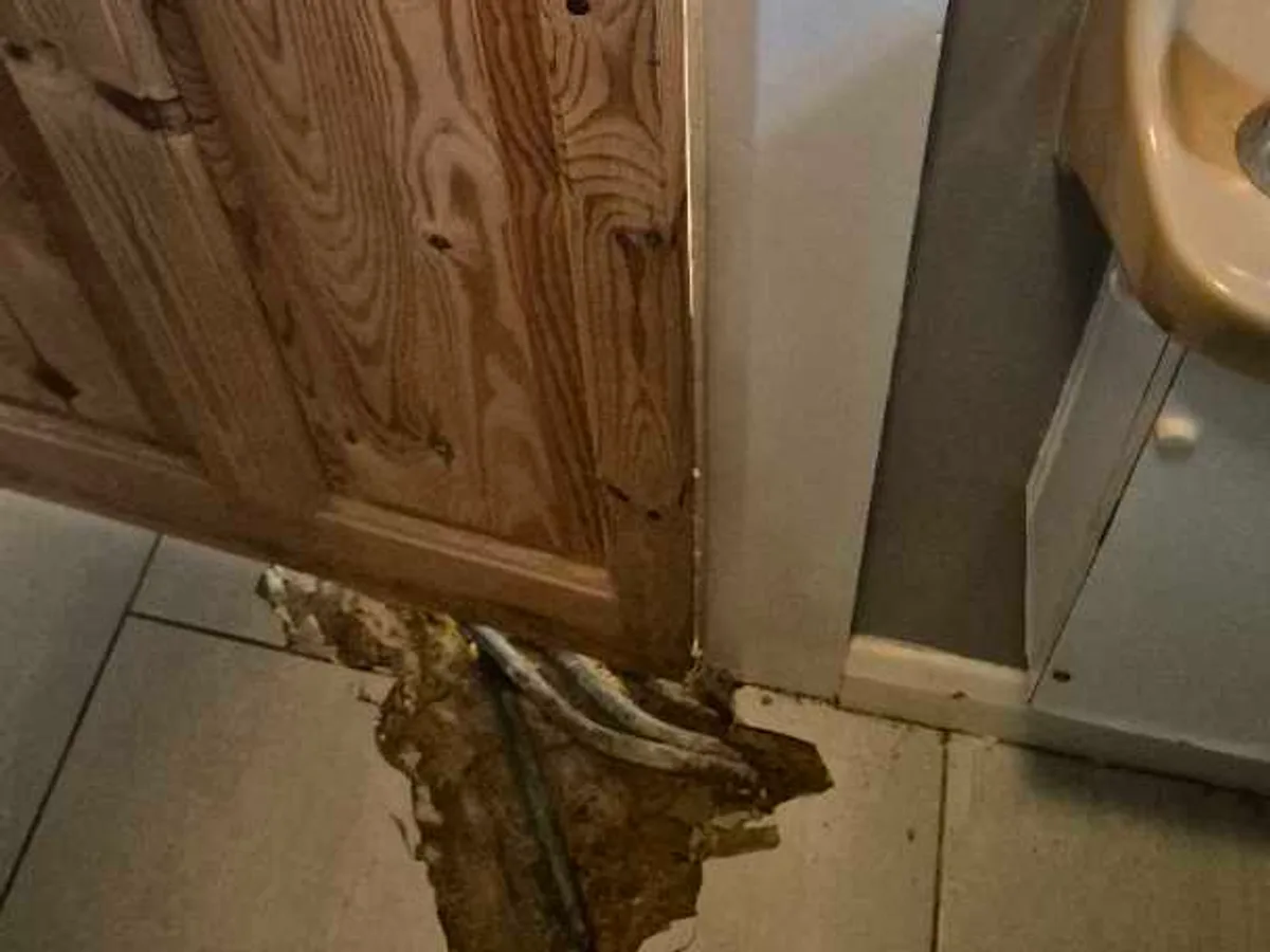 water-damaged and rotting WC door frame base at floor level before leak detection works