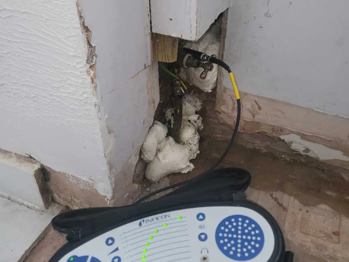 tracer gas detector probe at internal stopcock within boxing during leak detection